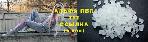 PSILOCYBIN Армянск