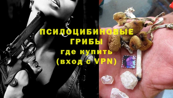 PSILOCYBIN Армянск